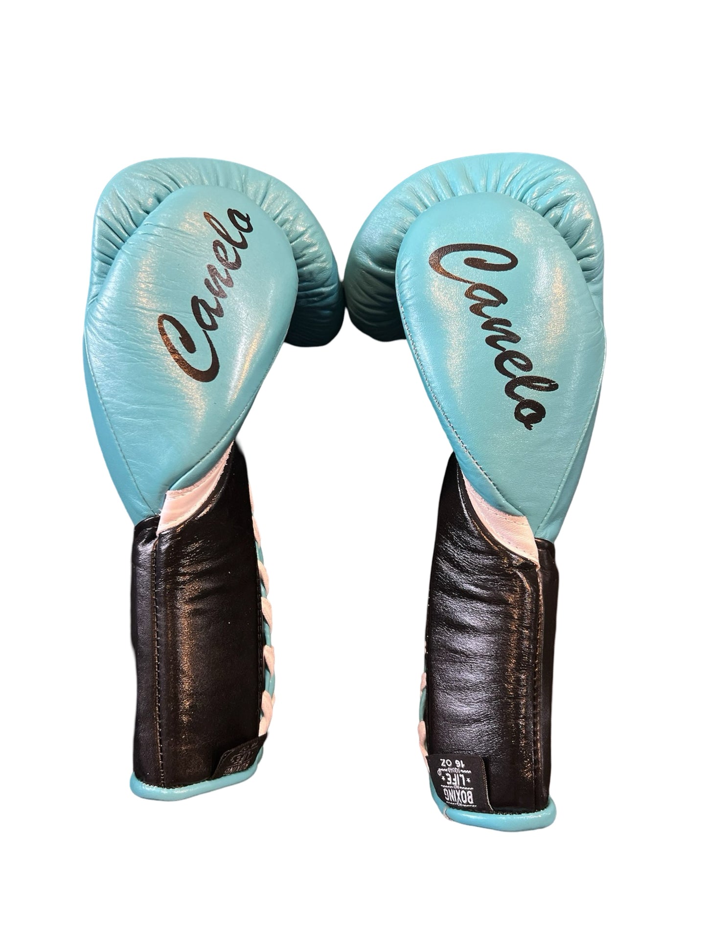 No Boxing No Life Training Gloves - Canelo Edition - Canelo vs Munguia