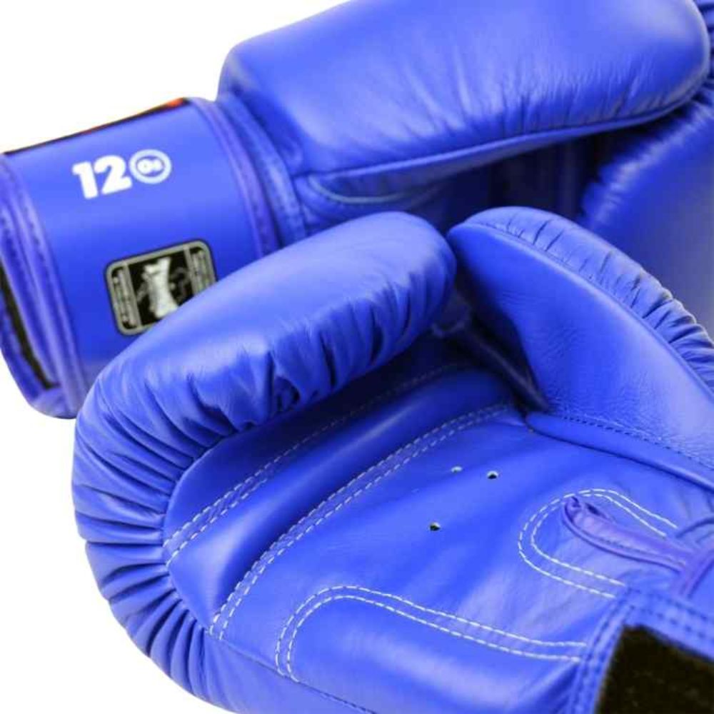 Twins Special  Boxing Gloves – Blue Muay Thai & Training Gloves