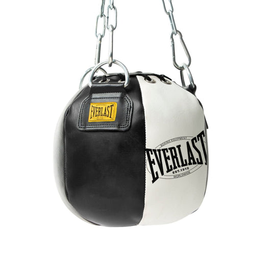 Everlast 11lb Maize Bag – Heavy-Duty Hanging Punching Bag for Boxing & MMA Training