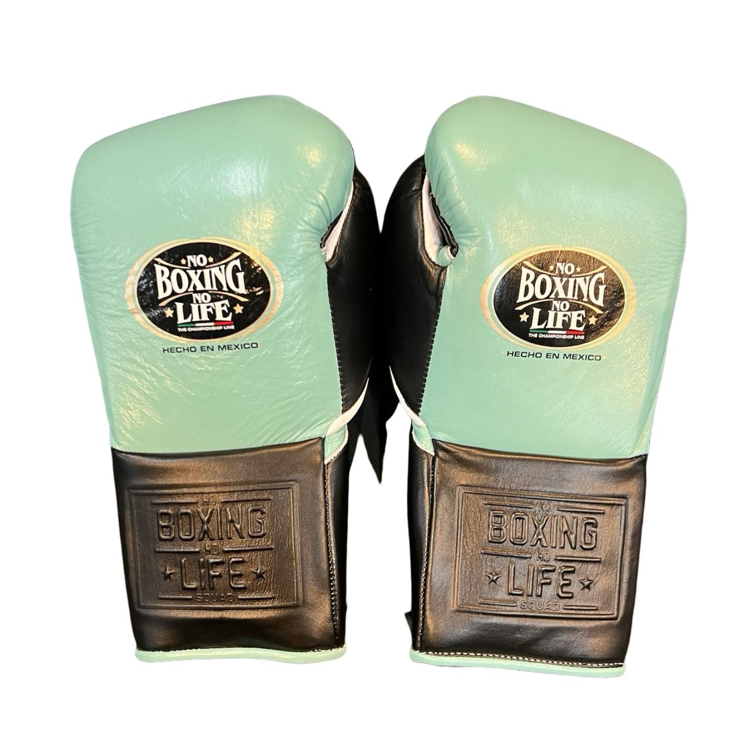 No Boxing No Life Training Gloves – Mint Green and Black Lace-up Style
